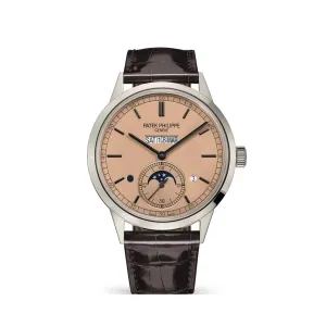 Patek Philippe Grand Complications 5236P-010 In-Line Perpetual Calendar Platinum (2024)