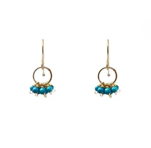 Turquoise E471 Earrings